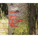 STRONG MARKER Spray do oznaczania drzew